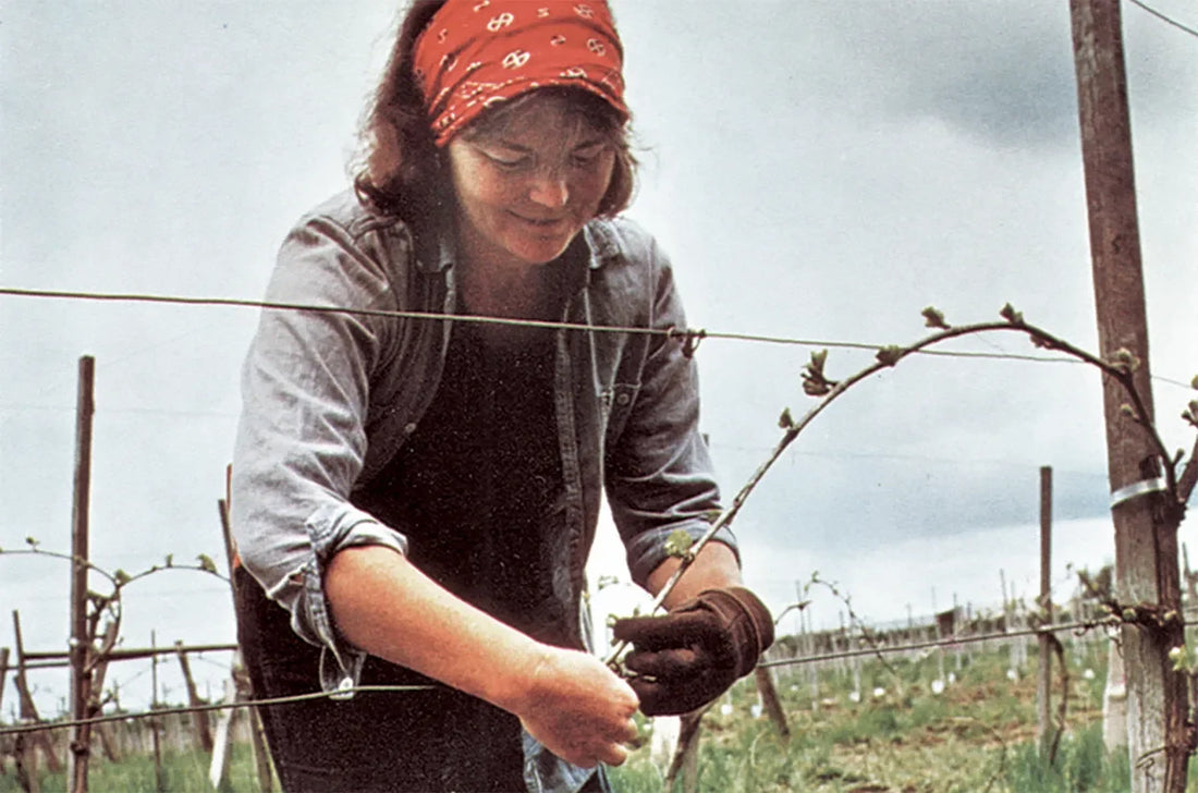 Decanter: Trailblazers of the Willamette Valley: The origins of Oregon wine