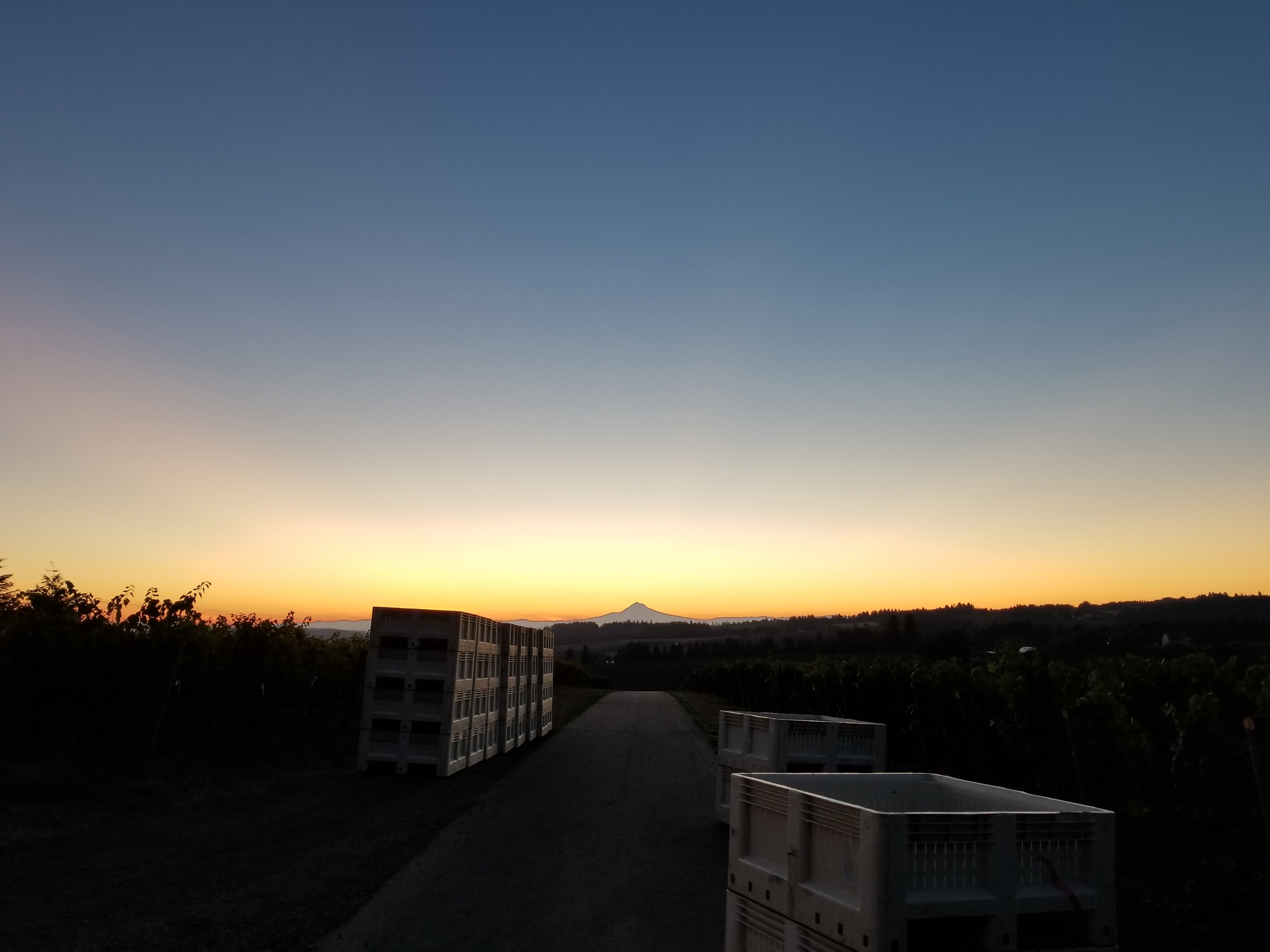 Mount hood in the morning